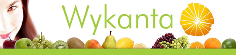 wykanta.com